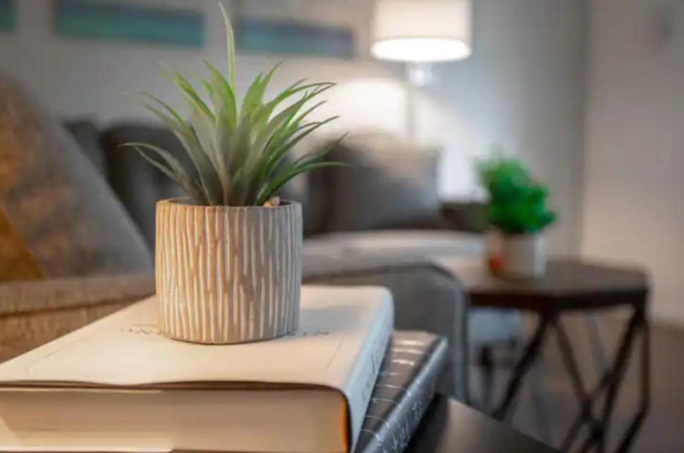 Modern Westshore Apartment Тампа Экстерьер фото